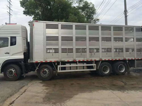 辽阳畜禽运输车厂家——专业畜禽运输车制造商